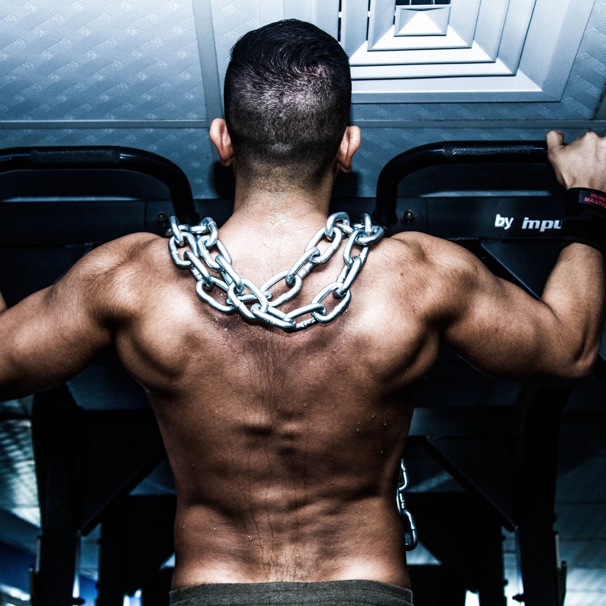 back workouts gym routine