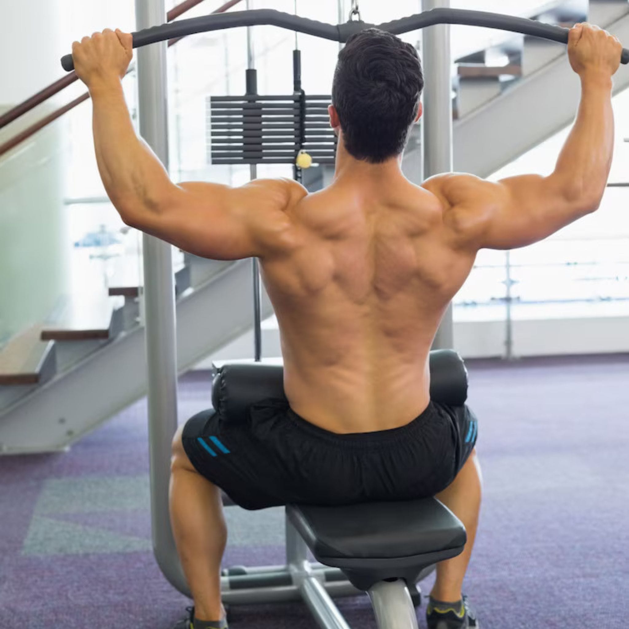 back workouts gym routine