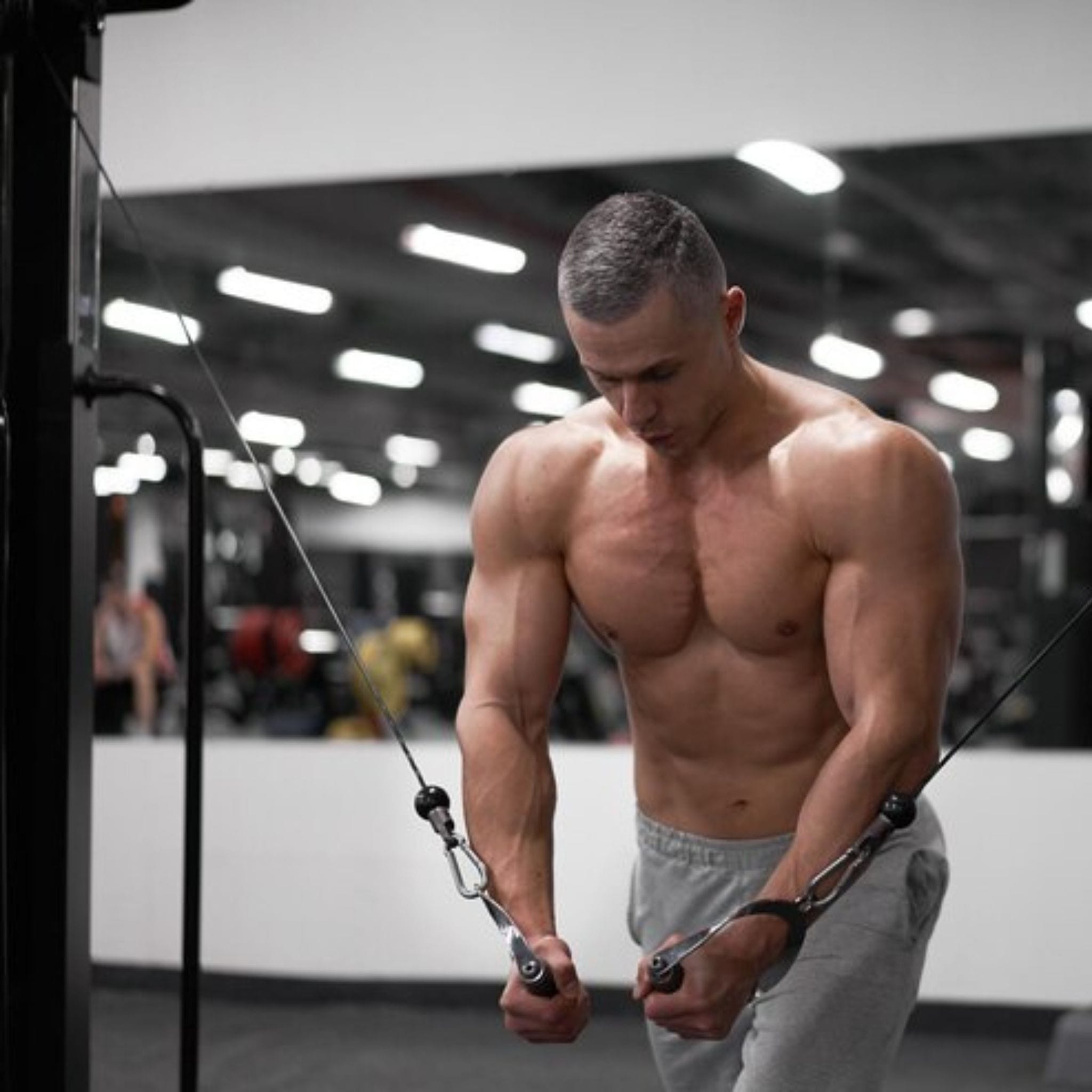 gym routines