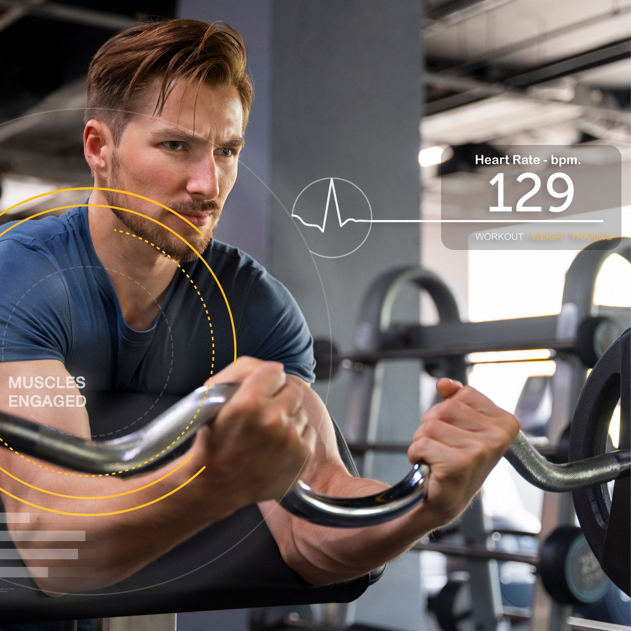 gym workout routine