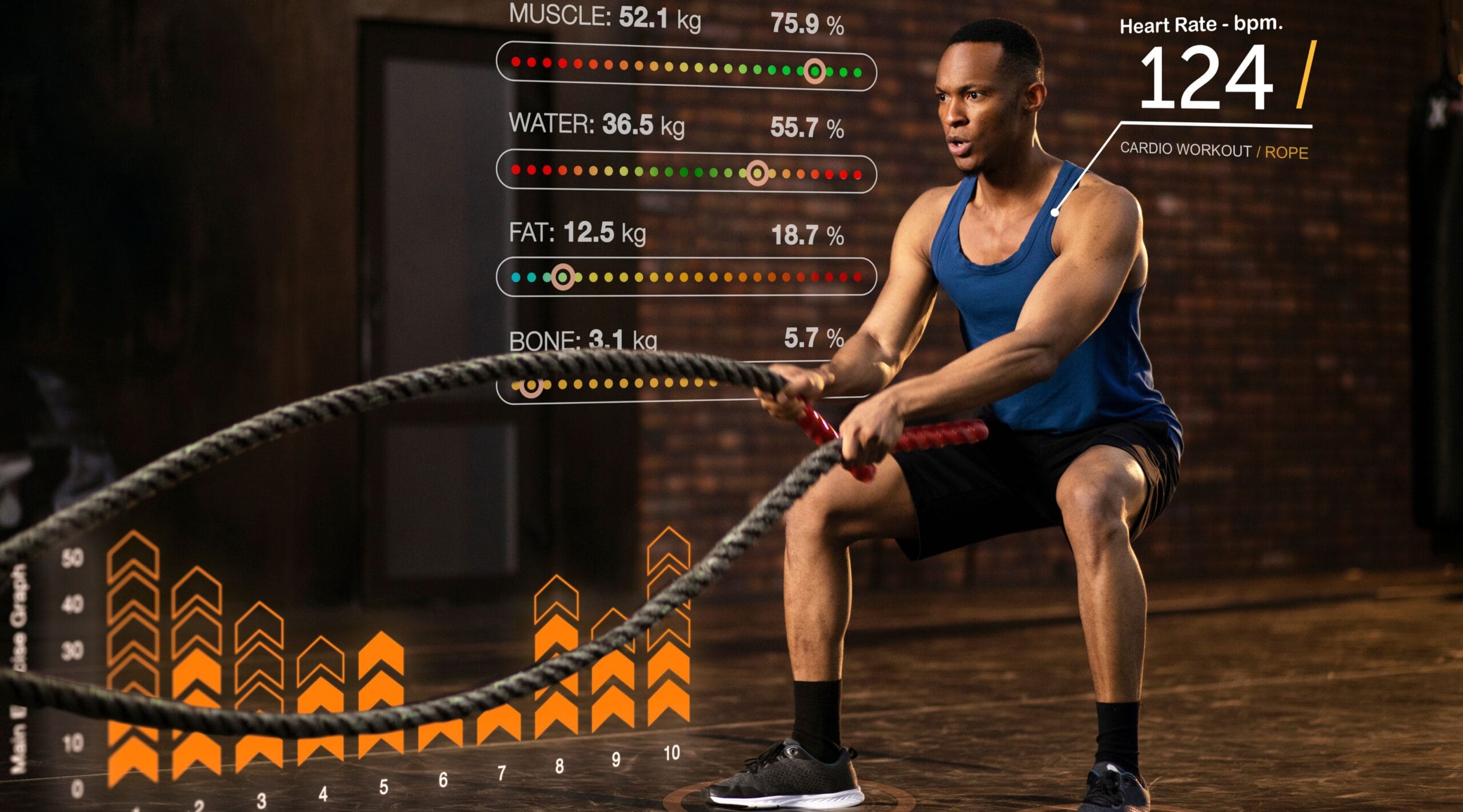 gym workouts